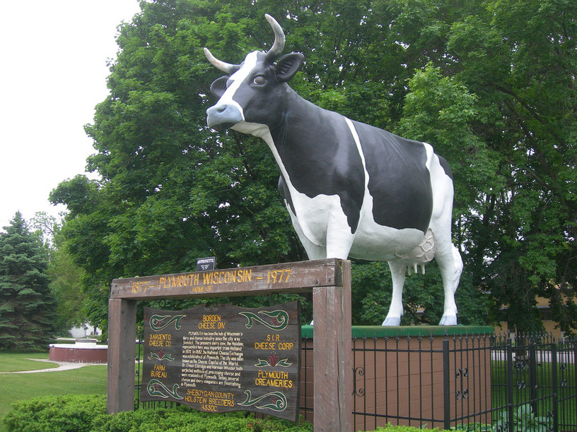 A statue of Antoinette, a Holstein cow, is an iconic landmark in Plymouth, Wisconsin, the self-styled cheese capital of the United States Jimmy Emerson