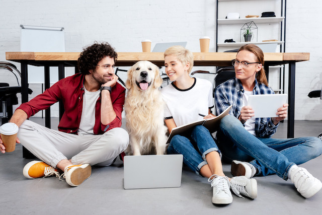 Why more companies are going dog friendly Delano News