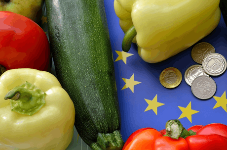 La politique agricole commune réformée garantira qu’au moins 10% des paiements directs iront aux petites et moyennes exploitations, tandis qu’au moins 3% du budget de la PAC seront destinés aux jeunes agriculteurs. (Photo: Shutterstock)