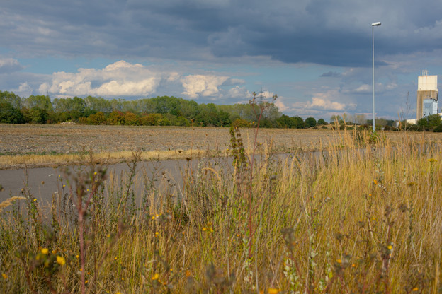 Fage aurait obtenu le terrain au prix de 20.000 euros l’are, informe la députée Josée Lorsché, quand dans le privé le prix du terrain est quatre fois plus élevé, à 80.000 euros l’are. Matic Zorman / Maison Moderne