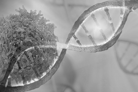 Le 4 Février, c'est la Journée Mondiale de Lutte contre le Cancer Crédit : Shutterstock