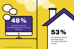 Le Luxembourgeois au Luxembourg (Maison Moderne)