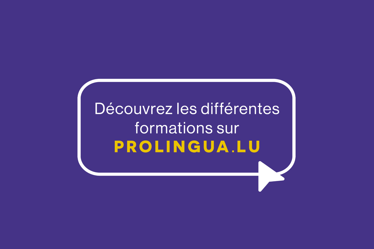 Plus d'infos sur Prolingua.lu Maison Moderne