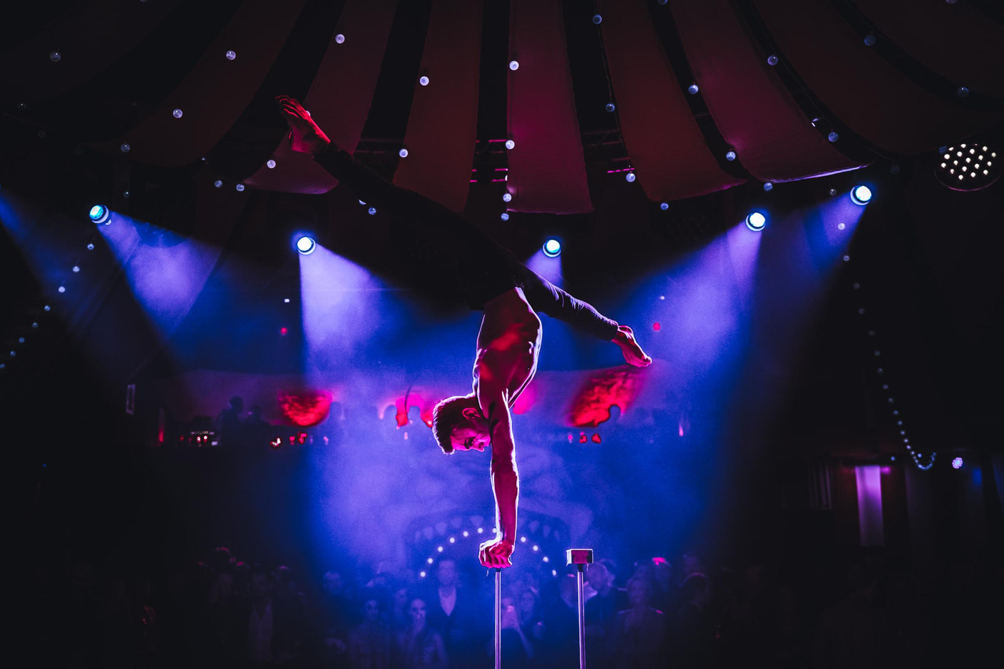 Docler Holding a «fait son cirque» le vendredi 8 novembre (Photo: www.olivimages.com)
