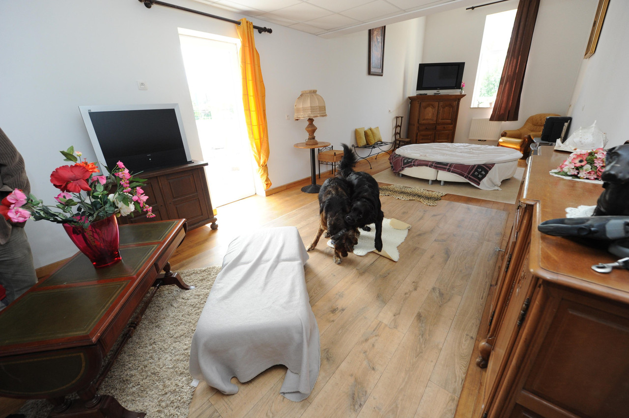 Le Doggy Palace proposait des suites de luxe entièrement équipées. (Photo: La Meuse Luxembourg)