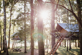 The Tree Tents.  Domaine des Grottes de Han