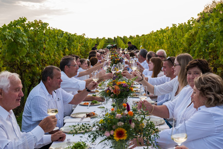 Les artisans vignerons sont au centre de la nouvelle gamme de Domaines Vinsmoselle. (Photo: Domaine Vinsmoselle)