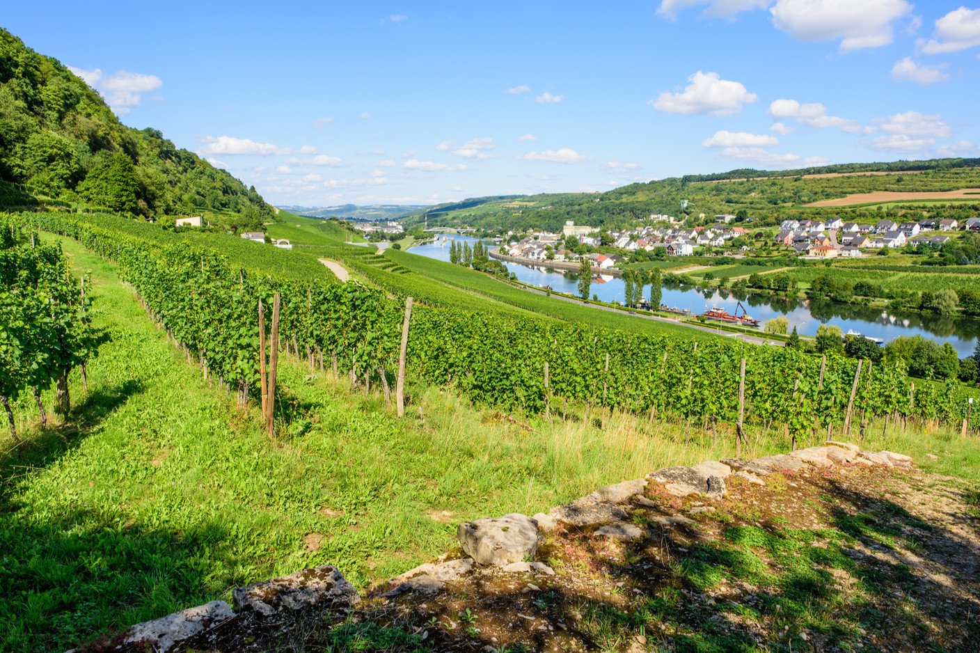 La tour se situe aussi sur la route du vin, au bord de la Moselle. (Photo: Paperjam.lu)