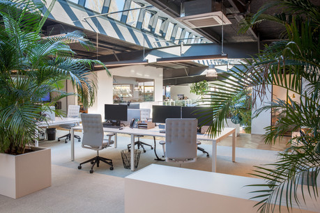 Les bureaux conservent le caractère industriel de l’ancienne halle. (Photo: Steve Troes Fotodesign)