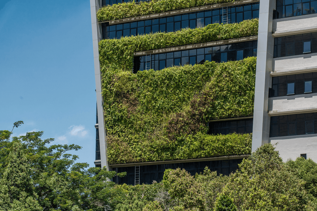 La durabilité dans le secteur de l’immobilier CBRE