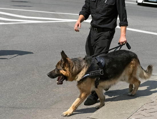 Les patrouilles se feront dans le quartier de la Gare aussi selon des horaires qui «ne seront pas des horaires de bureau». (Photo: Shutterstock)