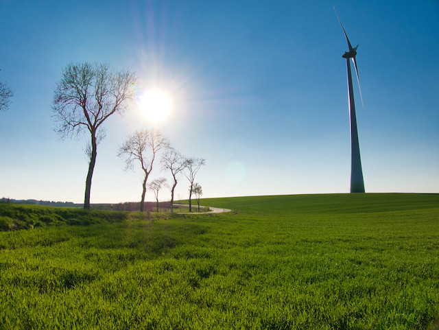 L’électricité d’origine renouvelable poursuit sa progression au Luxembourg. (Photo: Shutterstock)