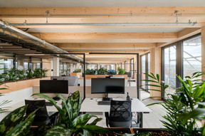 Les bureaux profitent d’un environnement apaisant grâce à la présence du bois et de nombreuses plantes vertes. (Photo: Marie De Decker)