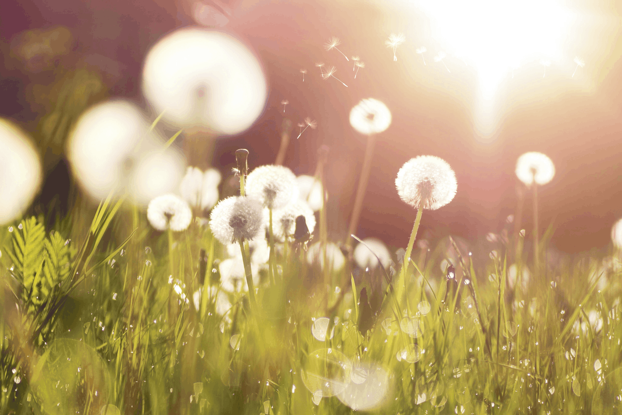 L’engagement écologique récompensé par des primes. Enovos