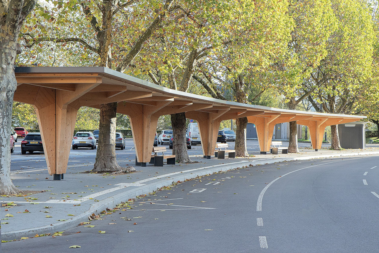  The wooden structure has a natural aesthetic that blends in with the natural surroundings.  (Photo: CBA)