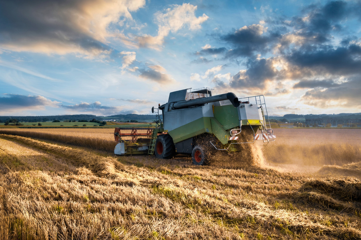 A tractor harvesting wheat, wheat starch in the summer sunset on a country field in Luxembourg Copyright (c) 2021 Gatien GREGORI/Shutterstock.  No use without permission.