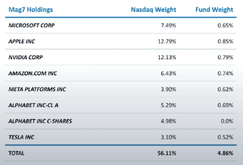 Chart 2: GinsGlobal ETFs are rebalanced semi-annually Source: Ginsglobal, HANeft. Nasdaq weigth as of 27 July 2026, ITEX weights as of 27 July 2026