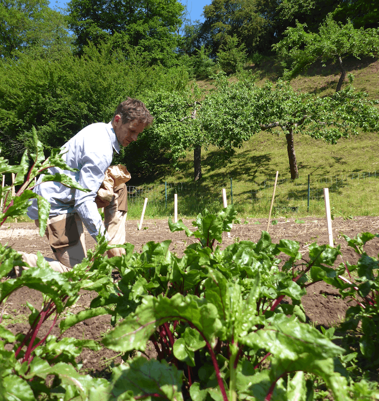 Pour répondre au déficit de production de fruits et légumes au Luxembourg, le Lycée technique agricole a lancé il y trois ans une formation d’entrepreneur maraîcher.  (Photo: Lycée technique agricole)
