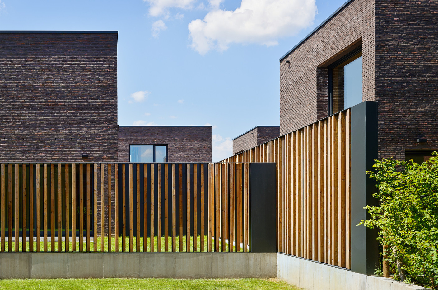 Les palissades marquent les séparations entre les maisons. (Photo: Lukas Roth)