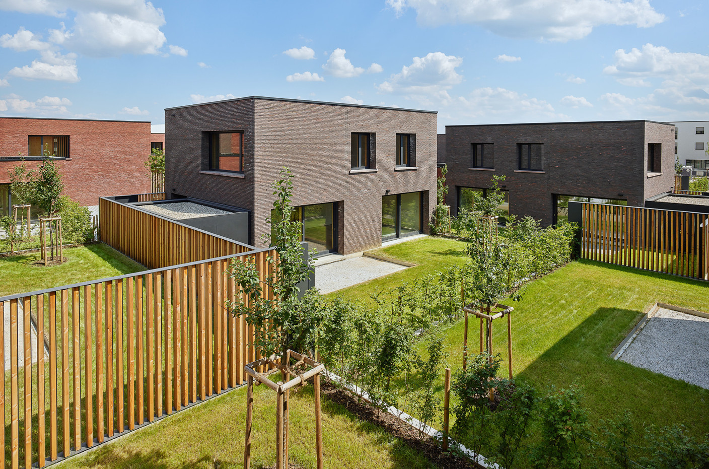 Les jardins sont orientés vers les cœurs d’îlot. (Photo: Lukas Roth)