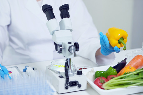 Les investissements dans les start-up de protéines alternatives, comme l’agriculture cellulaire ou les aliments à base de plantes, ont pour sûr augmenté de 178% en 2020. (Photo: Shutterstock)