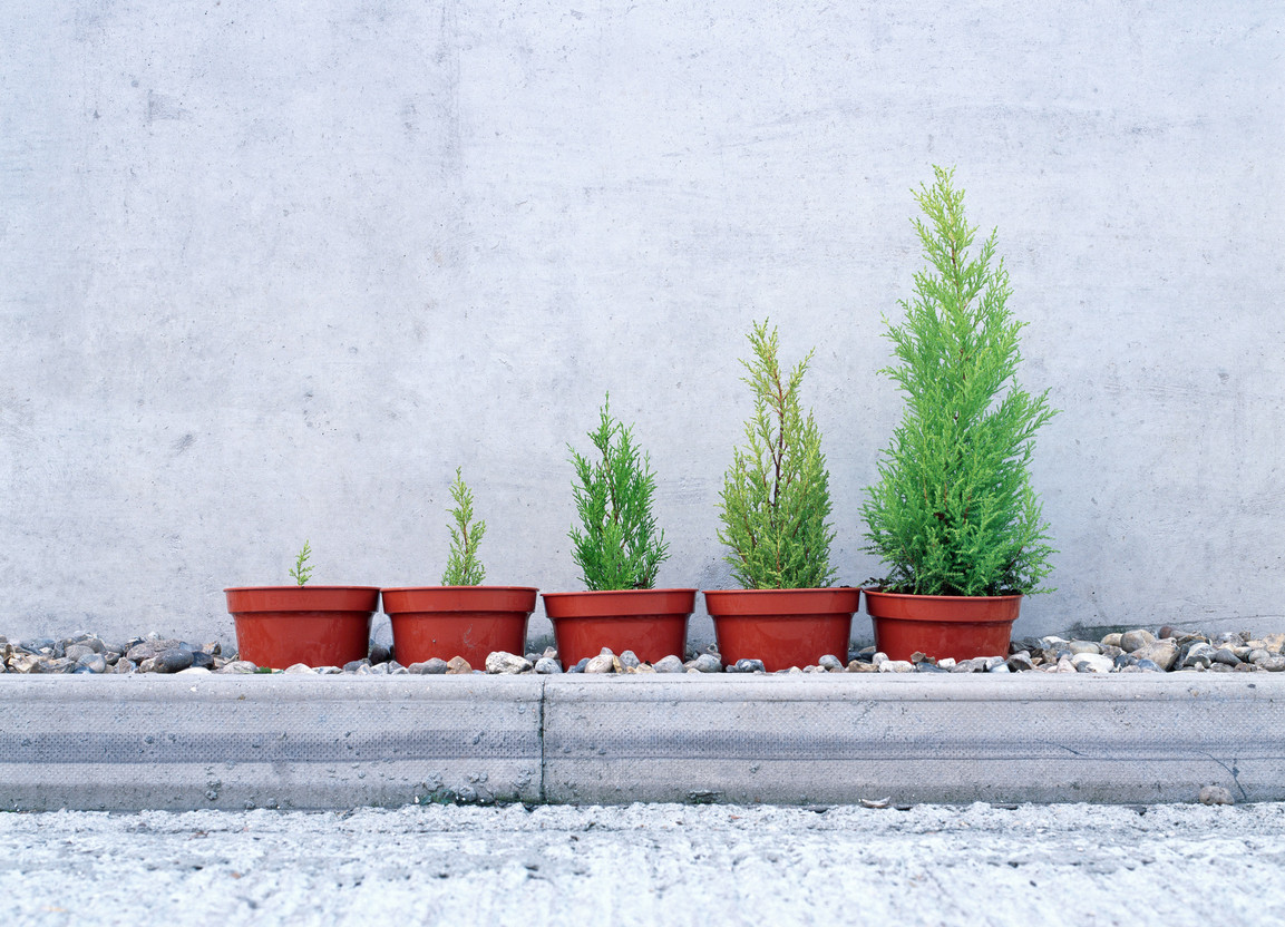 There are many possibilities to align performance with sustainability profile. (Photo: Amundi)