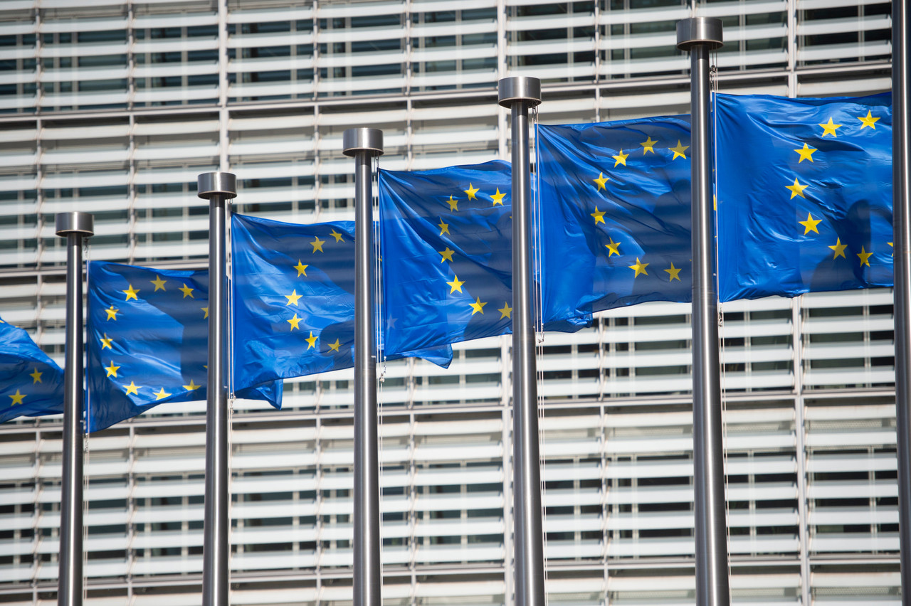 Flags outside the Berlaymont building in Brussels, the European Commission’s HQ Library photo: Anthony Dehez
