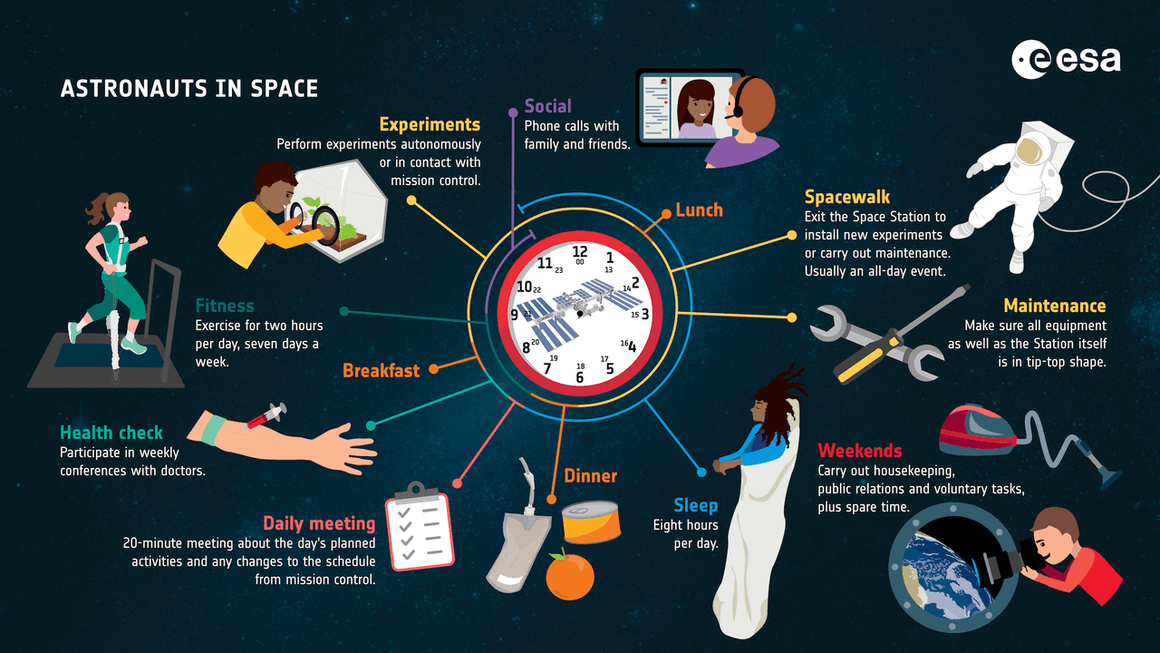 Ce que font les astronautes dans l’espace. (Source: ESA)