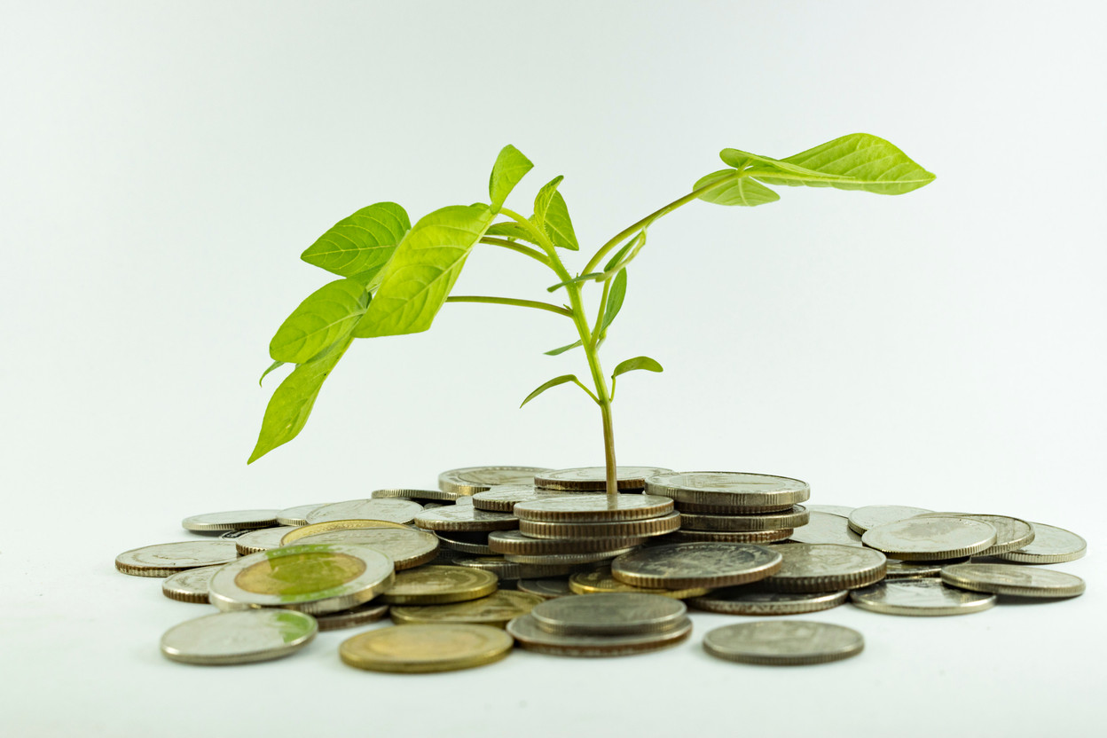 A survey of professionals from five European regions and two Asian countries found key differences in their ESG investment focuses. Photo: Shutterstock