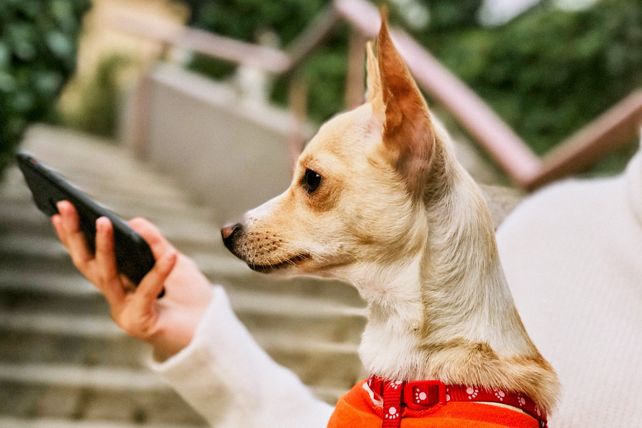 European digital identity: a revolution in our lives ING Luxembourg