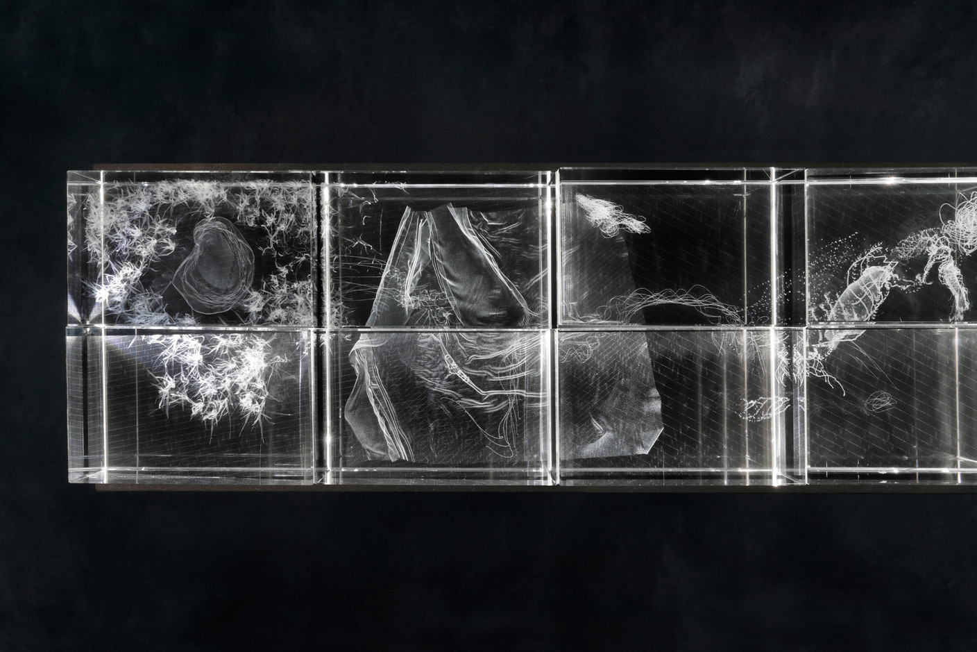 The Inmost Cell (2021), crystal engraving, Botanique Museum by Eva L’Hoest. Photo: Luk Vander Plaetse