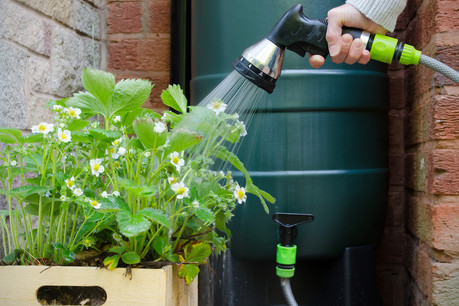 Pour recueillir l’eau de pluie – bien meilleure pour les plantes que l’eau du robinet, car elle contient moins de calcaire –, il suffit de détourner l’eau de votre tuyau d’évacuation dans des citernes. (Photo: Shutterstock)