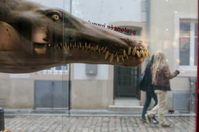 Located in the picturesque Grund district, the Natur Musée explores the natural world. (Photo: Matic Zorman/archive)
