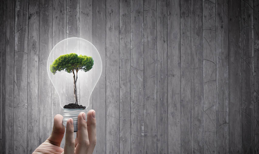 Farad Group, together with its subsidiaries Funder and Farad Investment Management, is proud to announce the successful recertification of its B Corporation (B Corp) status. Photo: Farad Group