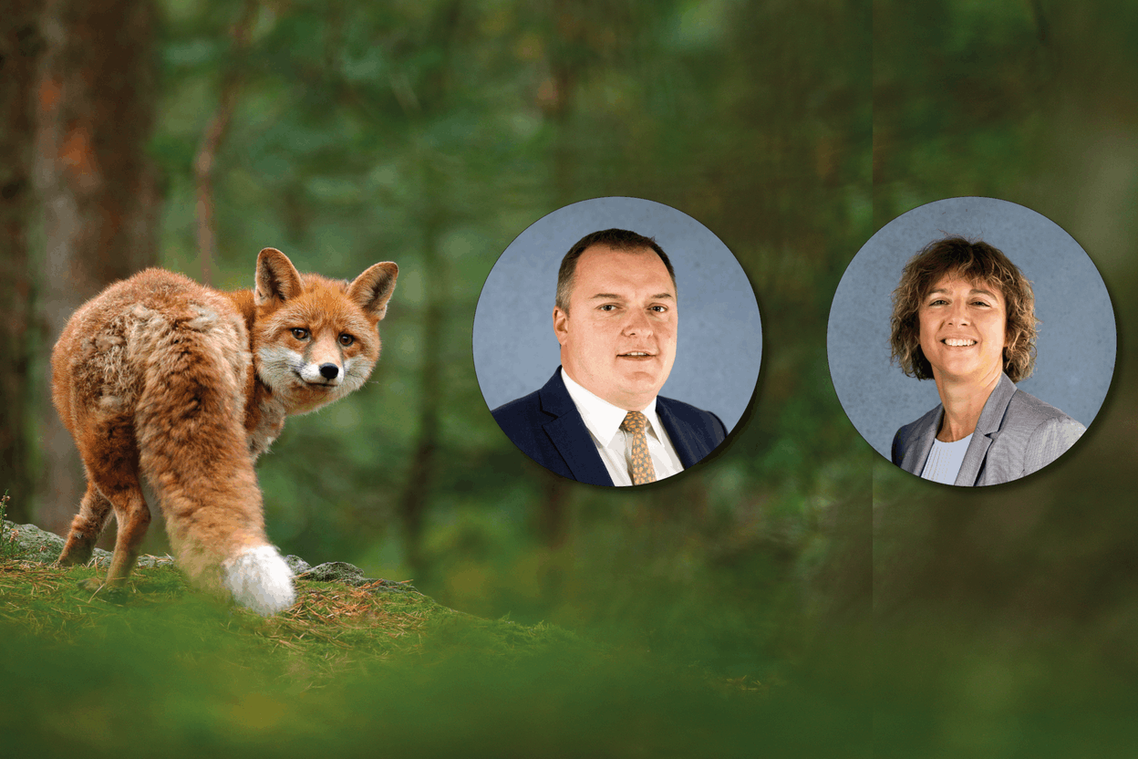 the Vital Role of Good Governance in business  FARAD I.M.