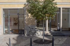 Fellner Contemporary est voisine de Nosbaum Reding Gallery. ((Photo: Matic Zorman / Maison Moderne))