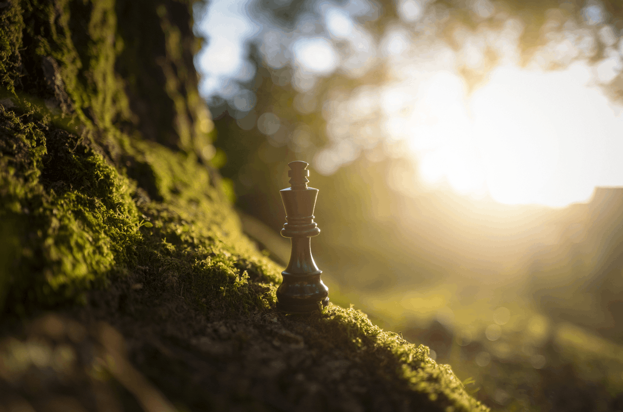 La finance a un rôle crucial à jouer pour préserver la biodiversité en dirigeant les capitaux vers les entreprises les plus responsables. (Photo: La Financière de l’Échiquier)