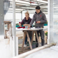 Ten employees work at Fleurs Klopp, including three apprentices. Photo: Guy Wolff/Maison Moderne