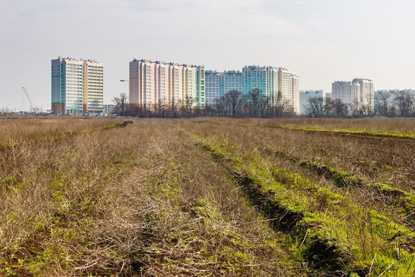 Entre production agricole et construction de logements, la terre cristallise les tensions. La Centrale paysanne réclame des exemptions plus larges au futur impôt à la mobilisation de terrains. (Photo: Shutterstock)