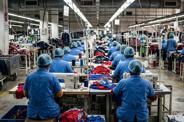 In light of the new European regulations, supply chain transparency is becoming a key issue. (Photo: Image generated using artificial intelligence)