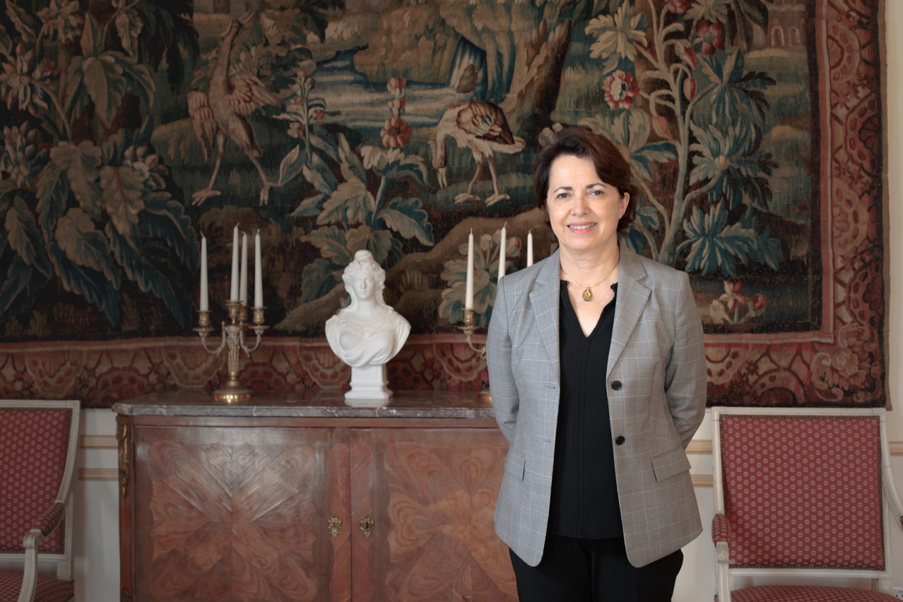 Crises are opportunities to work closely together, says the ambassador Photo: Matic Zorman / Maison Moderne