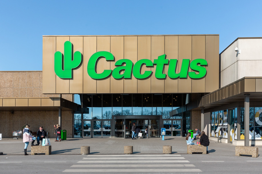 New arrivals: you have to understand, Cactus is a national treasure. Photo: Romain Gamba / Maison Moderne