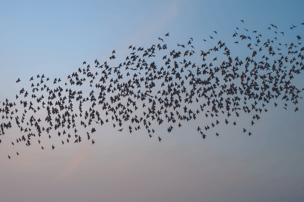 Valery parcourt le monde avec son œil d’artiste photographe. (Photo: Knokke-Heist)