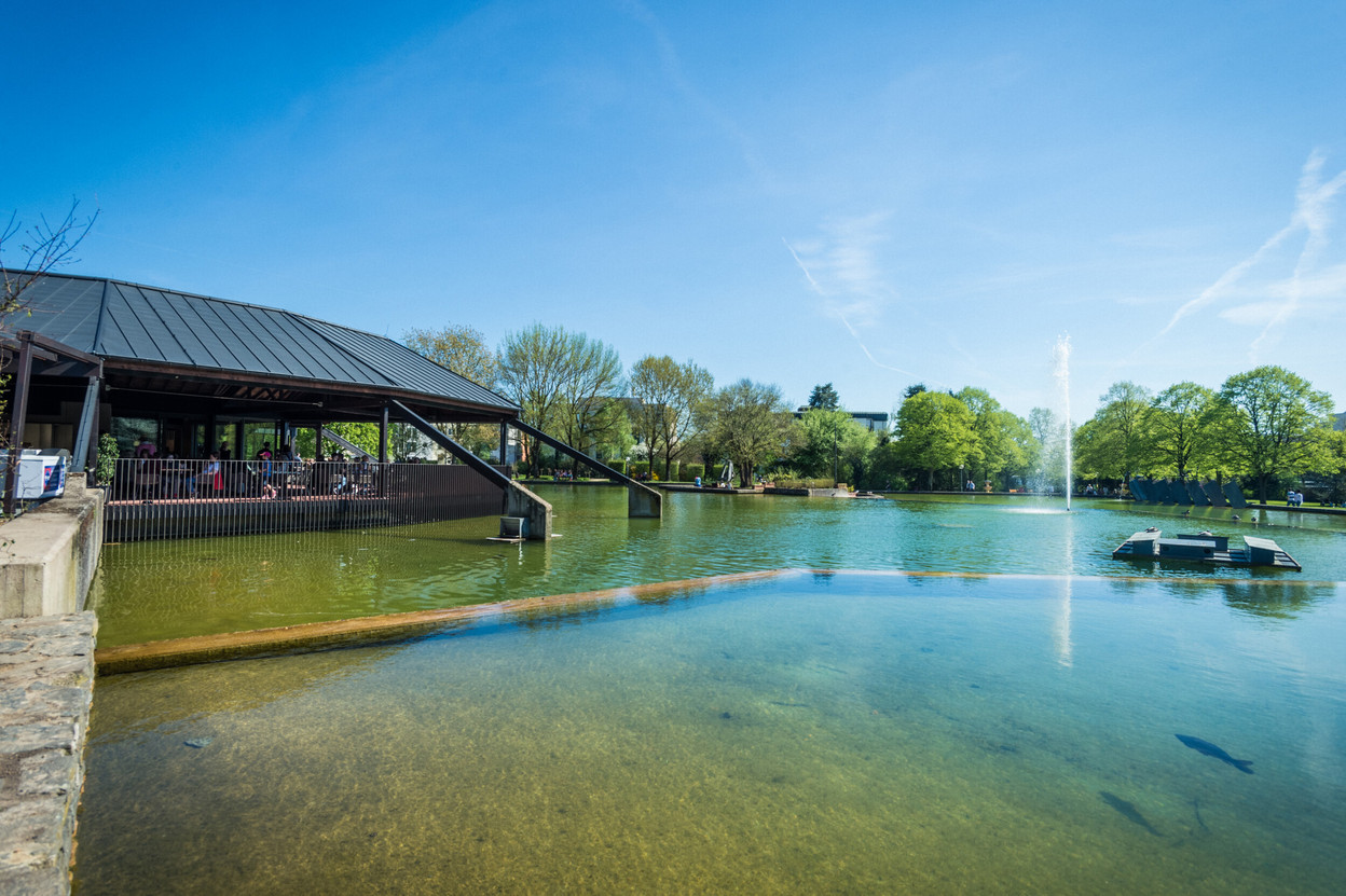 Close to the city centre, Merl Park is made for easy family afternoons, with a large playground, duck pond, shaded lawns and café terrace. (Photo: Mike Zenari)