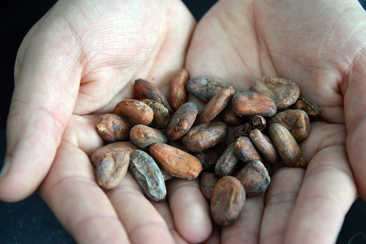 Dans le travail du chocolat, ce qui plaît le plus à Gabriel Mjahed, c’est l’utilisation de fèves rares et toutes les possibilités en termes de créativité. (Photo: Maëlle Hamma/Maison Moderne)