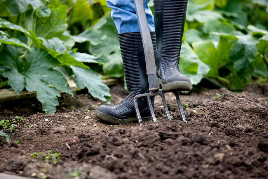 Gardening tips Photo, Shutterstock