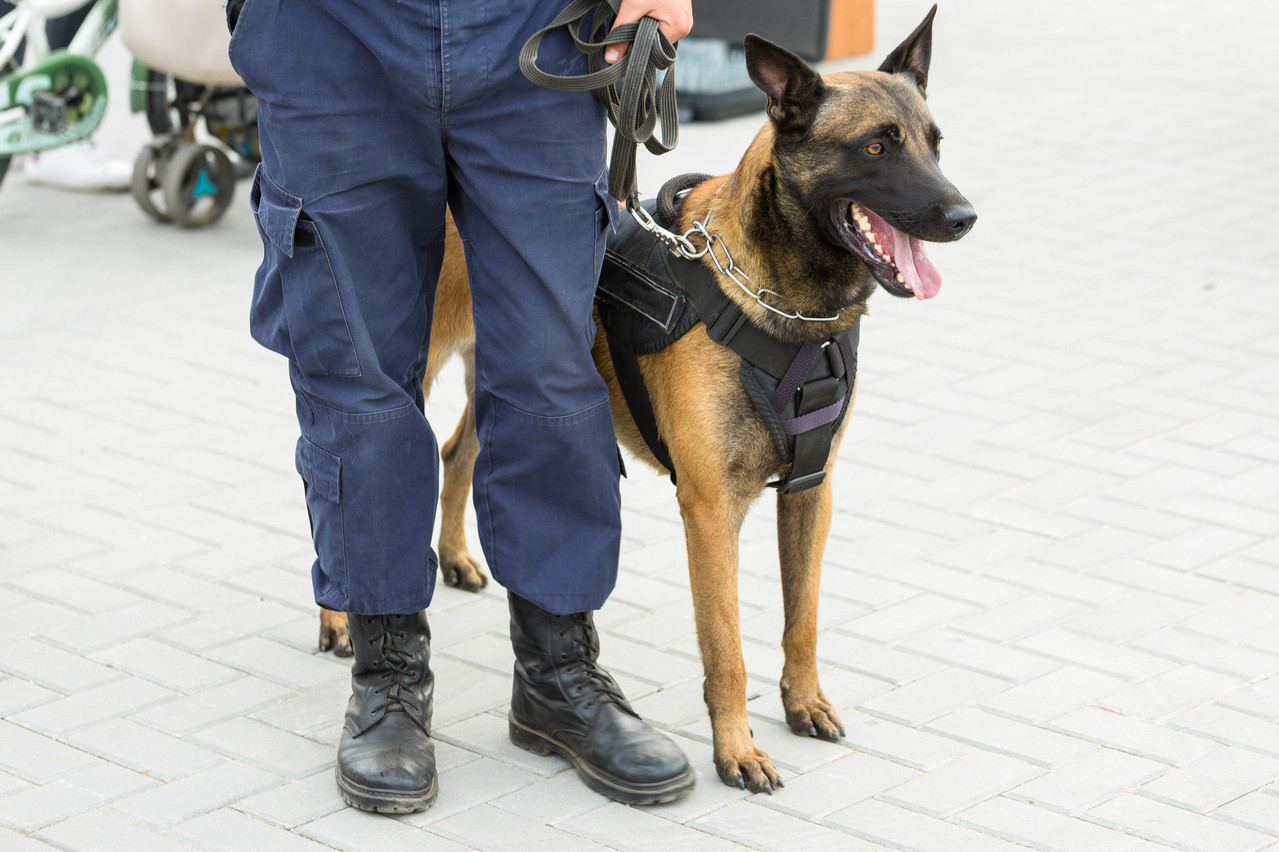 Les agents de sécurité dans le quartier Gare pourraient poursuivre leur mission au-delà du 31 janvier… en attendant que l’effectif policier se renforce. (Photo: Shutterstock)