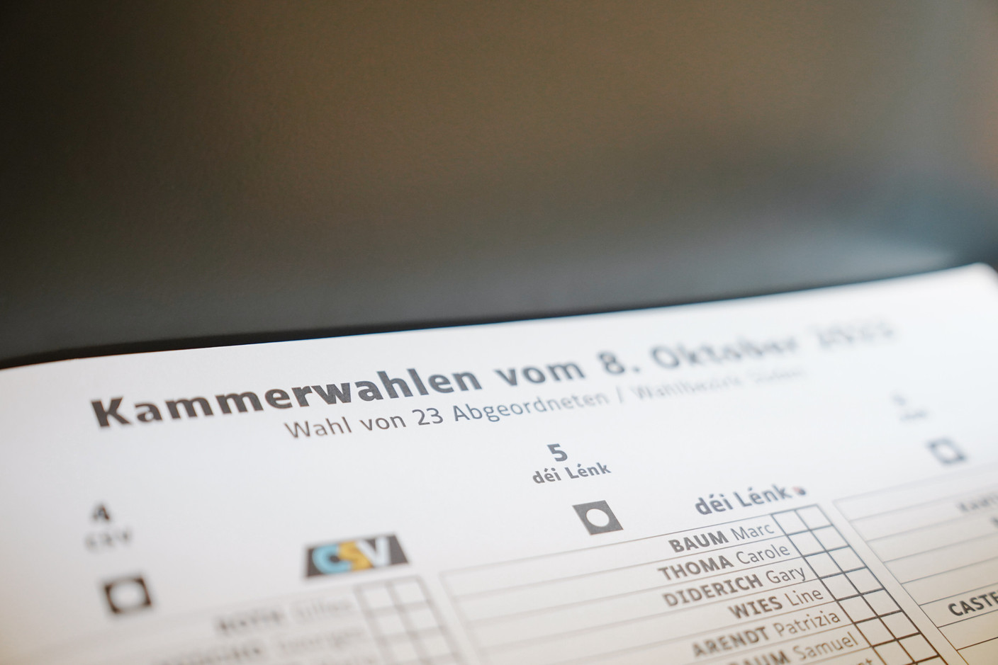 A ballot paper at a polling place in Kayl, 8 October 2023. Photo: Morris Kemp / Maison Moderne