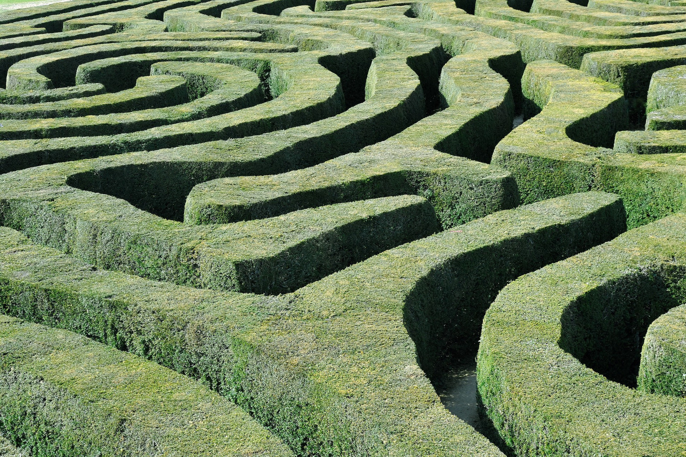 A abstract view of a labyrinth maze of green clipped topiary hedges and pathways (Photo: Capital Group)