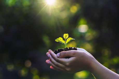 Lutter contre l’impact washing et défricher de nouveaux territoires sont les tendances de fond qui traversent le secteur. (Illustration: Shutterstock)